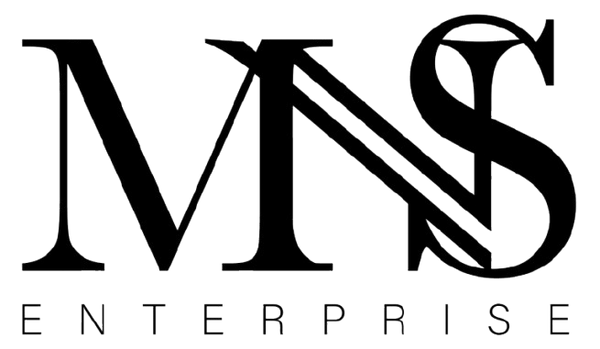 MNS ENTERPRISES